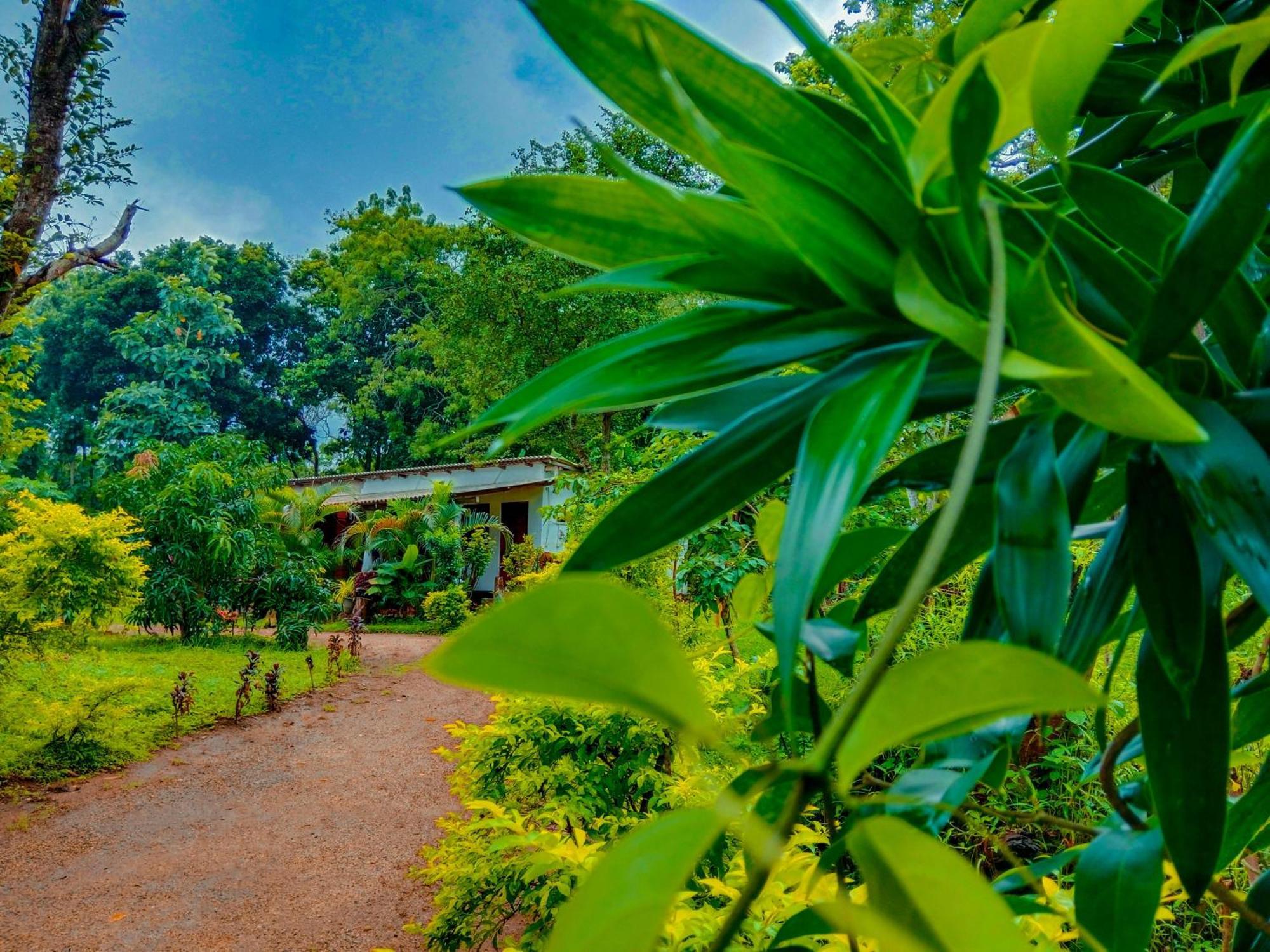 Homestay Chanaka Sigiriya