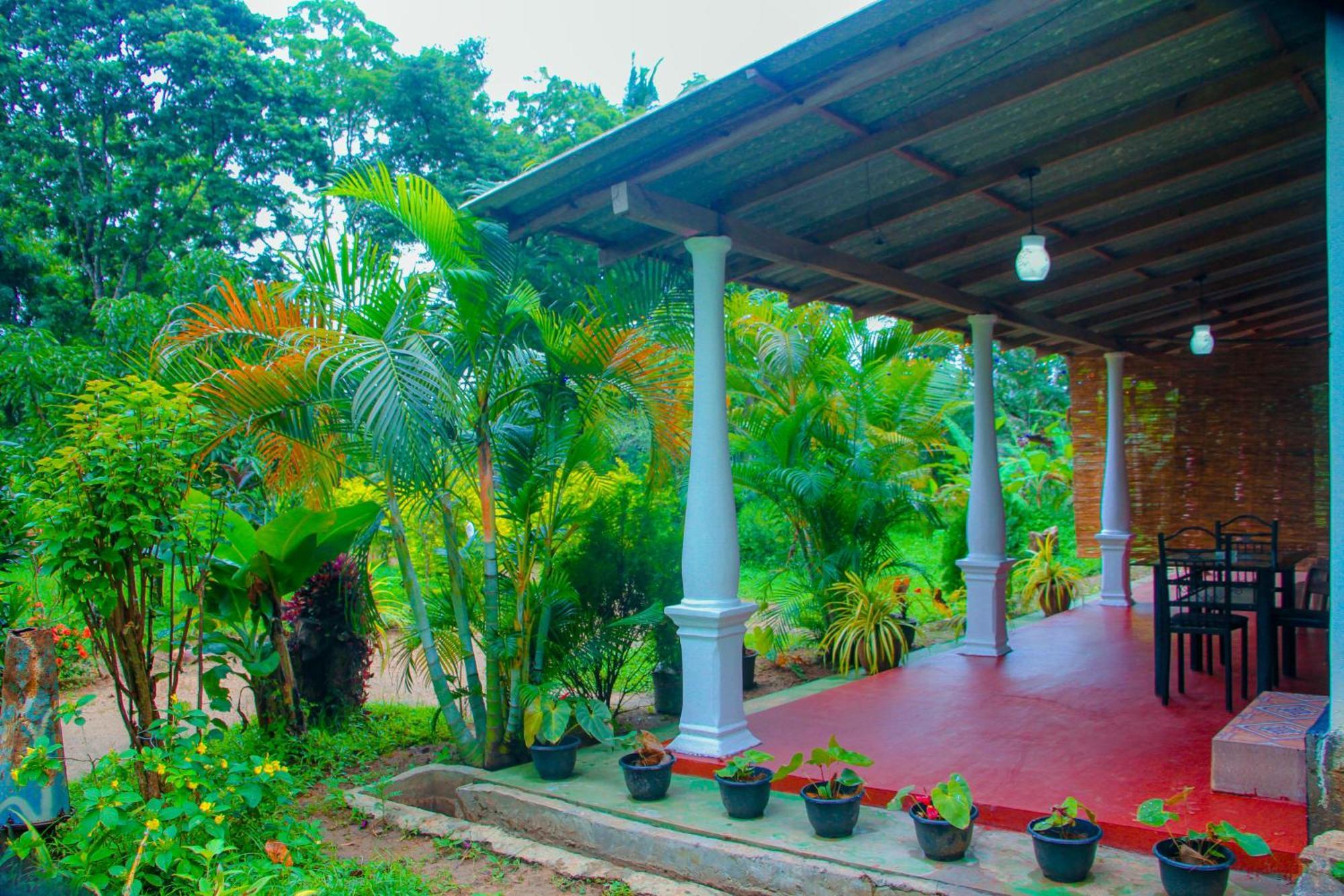 Chanaka *