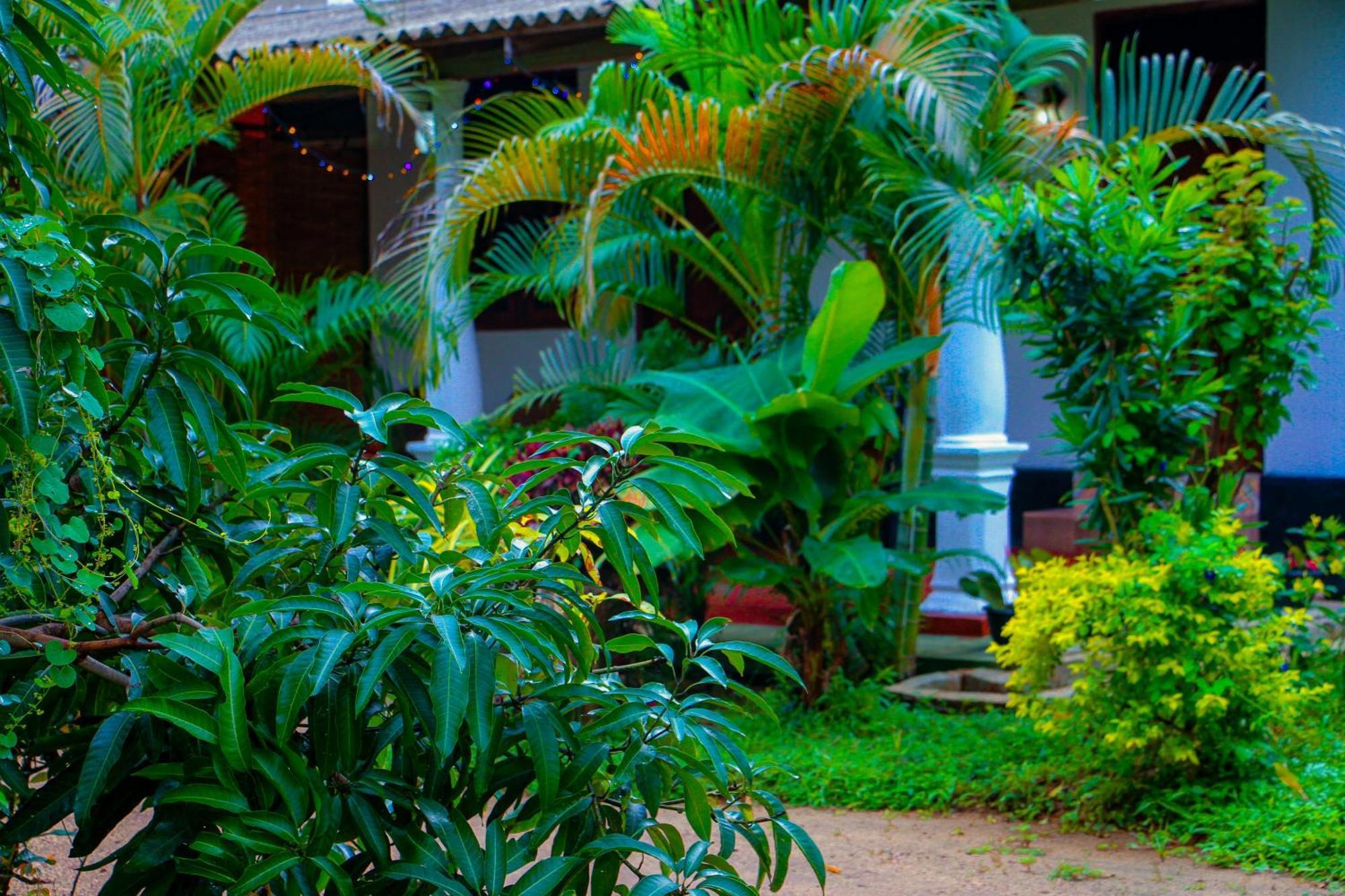 Chanaka Sigiriya