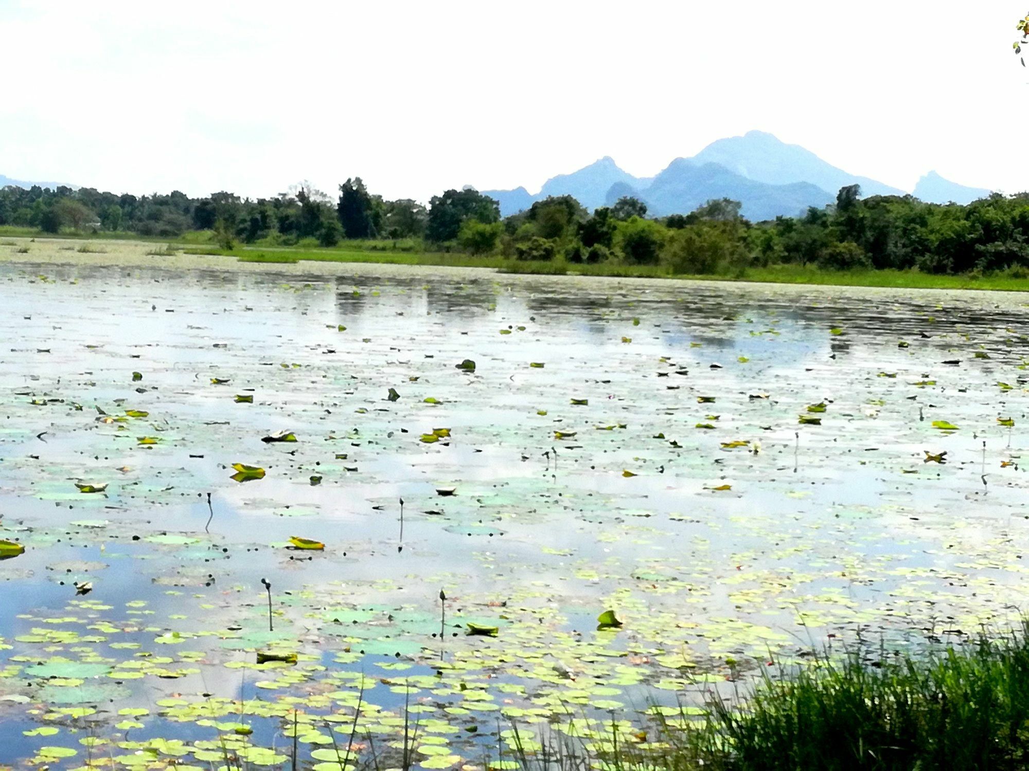 Chanaka * Sigiriya